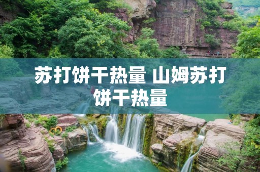 苏打饼干热量 山姆苏打饼干热量