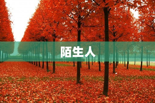 陌生人:认识与陌生的近义词
