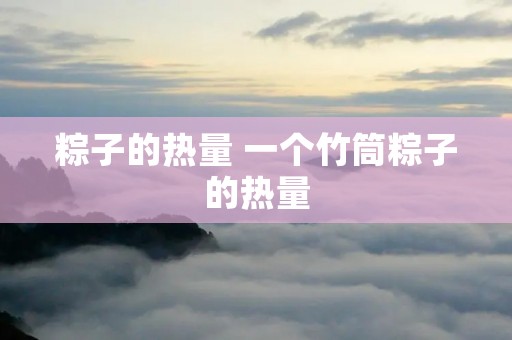 粽子的热量 一个竹筒粽子的热量