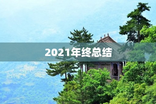 2021年终总结:成长与挑战并存
