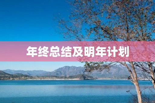 年终总结及明年计划:回顾过去,展望未来