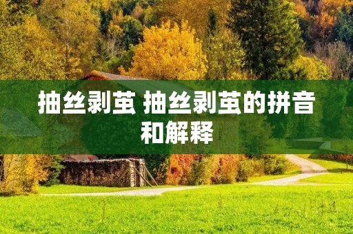 抽丝剥茧 抽丝剥茧的拼音和解释