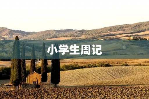 小学生周记:我的周末 小学生周记:我的周末