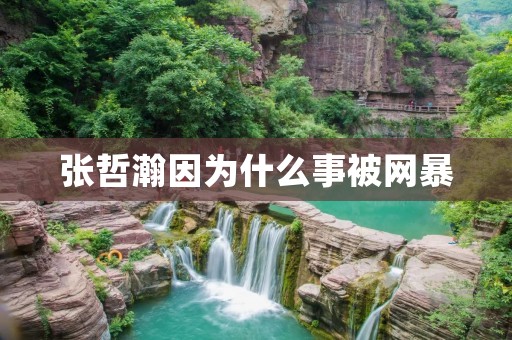 张哲瀚因为什么事被网暴：道德标准与名人责任