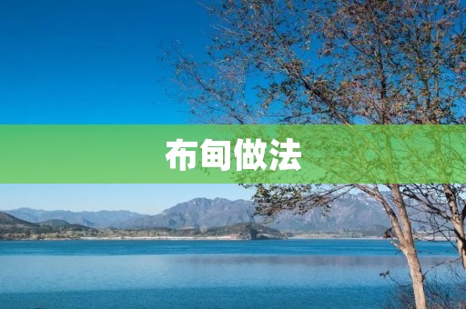 布甸做法：轻松做出美味的甜点