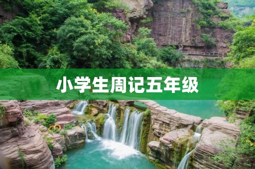 小学生周记五年级:一次难忘的冬令营 小学生周记五年级:一次难忘的冬令营