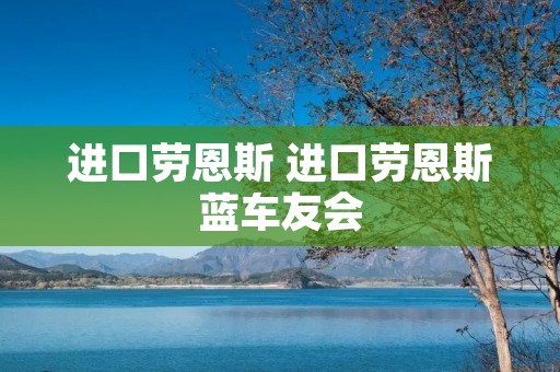 进口劳恩斯 进口劳恩斯蓝车友会