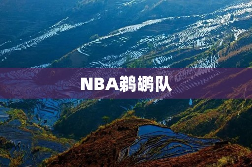NBA鹈鹕队：年轻阵容的崛起与挑战
