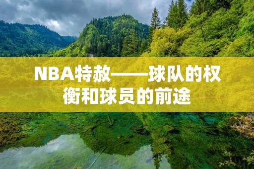 NBA特赦——球队的权衡和球员的前途 NBA特赦——球队的权衡和球员的前途