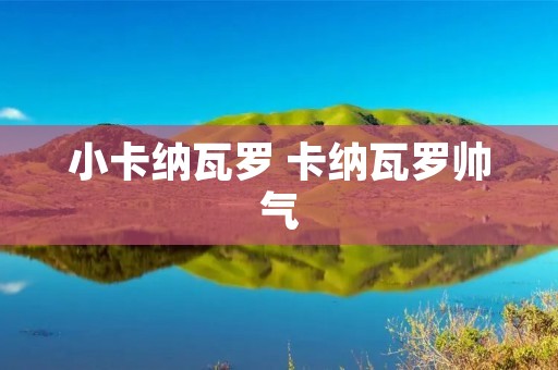 小卡纳瓦罗 卡纳瓦罗帅气 小卡纳瓦罗 卡纳瓦罗帅气