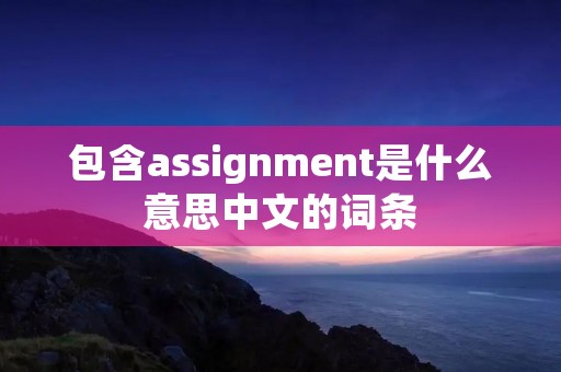 包含assignment是什么意思中文的词条 包含assignment是什么意思中文的词条