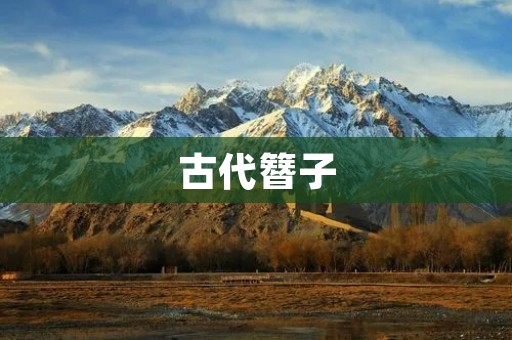 古代簪子:时代的印记 古代簪子:时代的印记