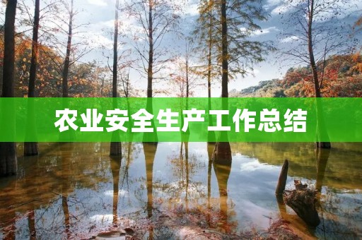 农业安全生产工作总结