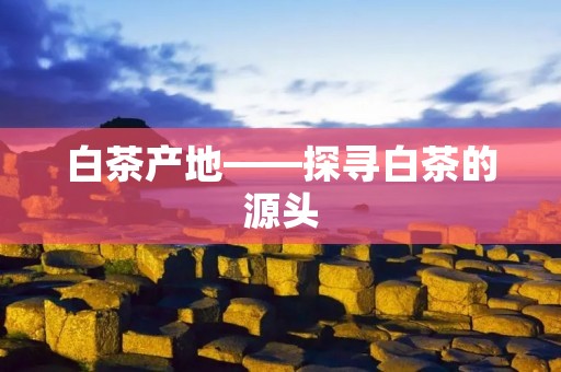 白茶产地——探寻白茶的源头 白茶产地——探寻白茶的源头