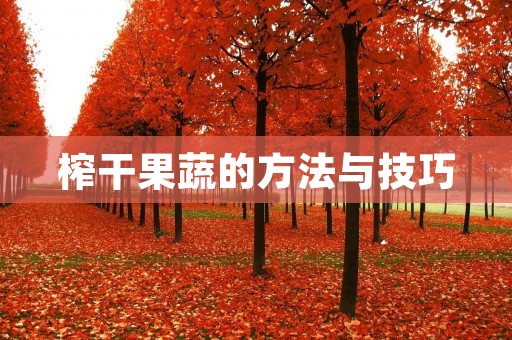 榨干果蔬的方法与技巧