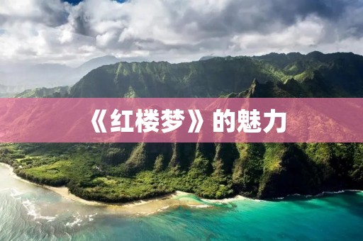 《红楼梦》的魅力