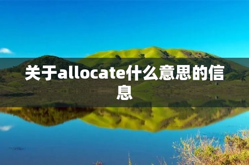 关于allocate什么意思的信息