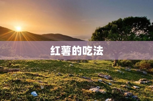 红薯的吃法:多种方式让你爱不释手 红薯的吃法:多种方式让你爱不释手