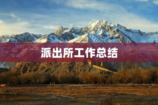 派出所工作总结
