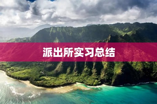 派出所实习总结:从实践中学习,探索未来的警察之路