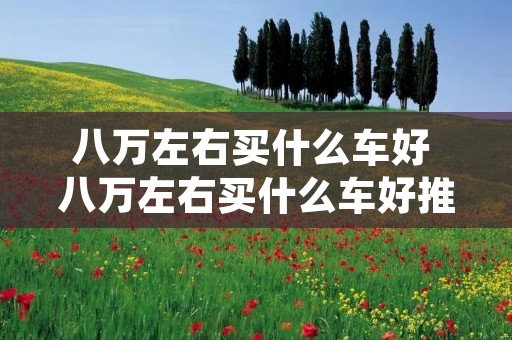 八万左右买什么车好 八万左右买什么车好推荐