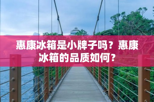 惠康冰箱是小牌子吗？惠康冰箱的品质如何？