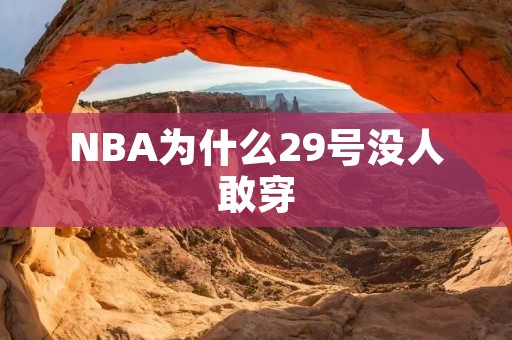 NBA为什么29号没人敢穿:从历史、文化和传统角度解读 NBA为什么29号没人敢穿:从历史、文化和传统角度解读