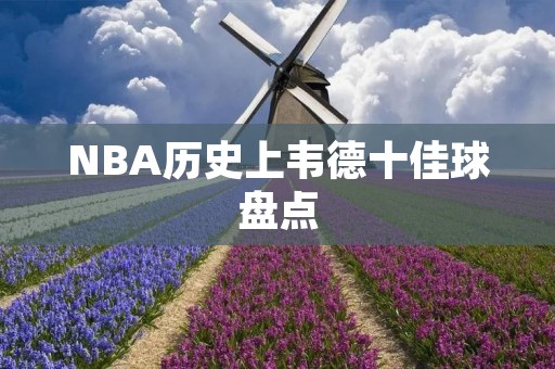 NBA历史上韦德十佳球盘点