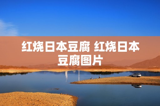 红烧日本豆腐 红烧日本豆腐图片