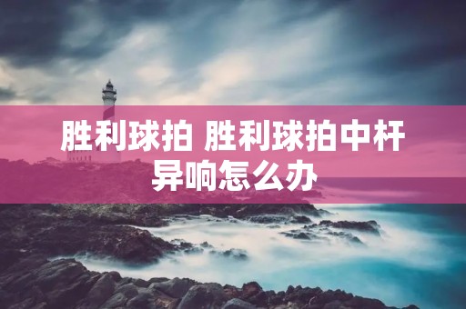 胜利球拍 胜利球拍中杆异响怎么办