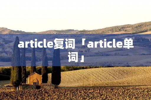 article复词「article单词」