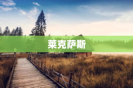莱克萨斯：豪华品质的代表