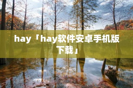 hay「hay软件安卓手机版下载」