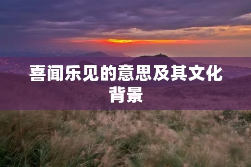 喜闻乐见的意思及其文化背景