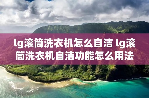 lg滚筒洗衣机怎么自洁 lg滚筒洗衣机自洁功能怎么用法