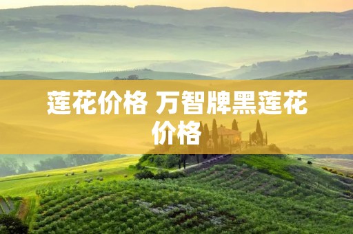莲花价格 万智牌黑莲花价格 莲花价格 万智牌黑莲花价格