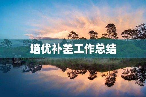 培优补差工作总结