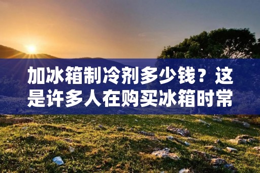 加冰箱制冷剂多少钱？这是许多人在购买冰箱时常常会问的问题。事实上，冰箱制冷剂的价格因品牌、型号和市场需求而异。在本文中，我们将详细介绍冰箱制冷剂的价格和一些购买冰箱制冷剂的注意事项。