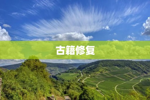 古籍修复:传承文化,保护历史 古籍修复:传承文化,保护历史