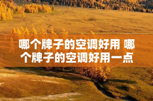 哪个牌子的空调好用 哪个牌子的空调好用一点