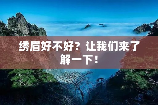 绣眉好不好？让我们来了解一下！