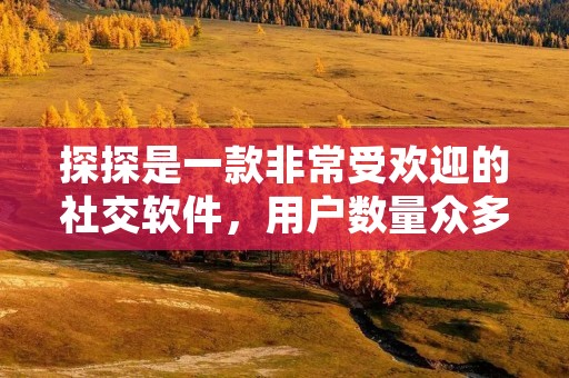 探探是一款非常受欢迎的社交软件，用户数量众多，其中不乏我们想要认识的人。在探探上搜索用户，是很多人常常需要的功能。那么，怎么在探探上搜索用户呢？下面，我们来详细介绍一下。
