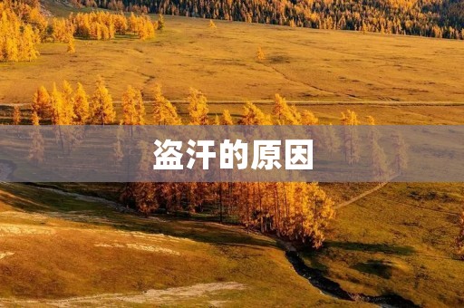 盗汗的原因:为什么会频繁出现盗汗? 盗汗的原因:为什么会频繁出现盗汗?