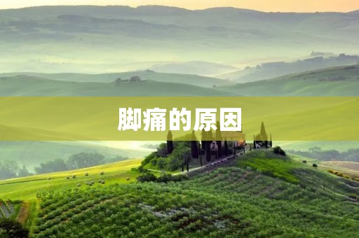脚痛的原因:了解常见的疾病及其治疗方法 脚痛的原因:了解常见的疾病及其治疗方法