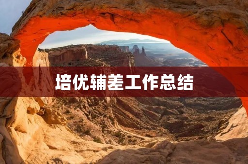 培优辅差工作总结