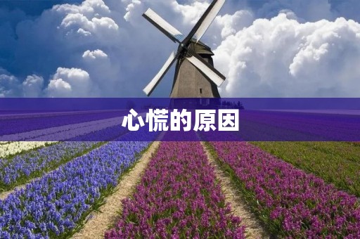 心慌的原因：揭开心脏疾病的真相