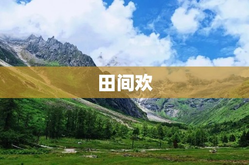 田间欢:探寻乡村生活的美好与真实