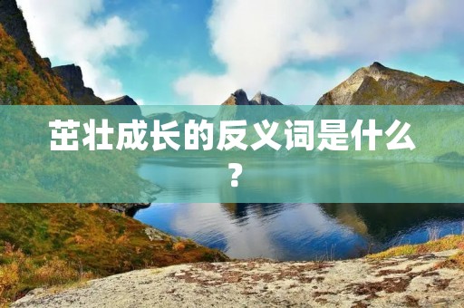 茁壮成长的反义词是什么?