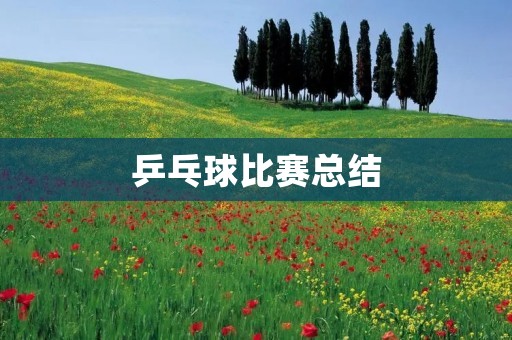乒乓球比赛总结:技术、心态与团队合作