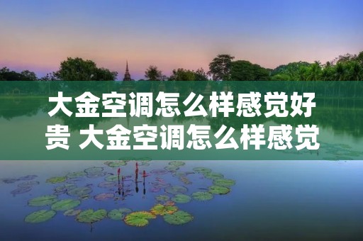 大金空调怎么样感觉好贵 大金空调怎么样感觉好贵啊